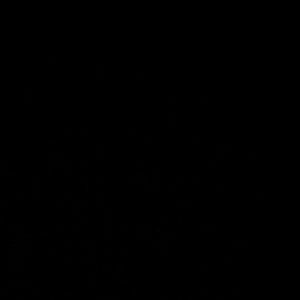 Meet your Posher, Kylee