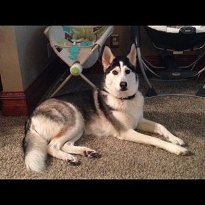 Meet your Posher, Whitney