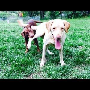 Meet your Posher, Carly