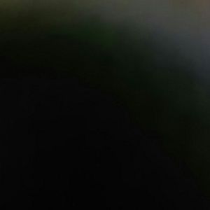 Meet your Posher, Norma