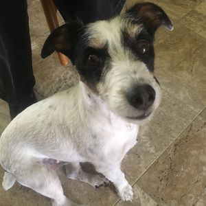 Meet your Posher, Stacy