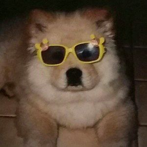 Meet your Posher, Rhonda