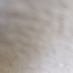 Meet your Posher, Adrian