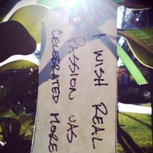 Meet your Posher, Kate