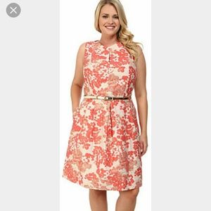 Tahari by Arthur S. Levine plus size floral dress