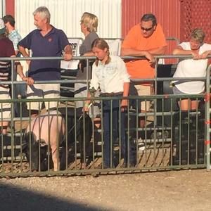 Meet your Posher, Dawn