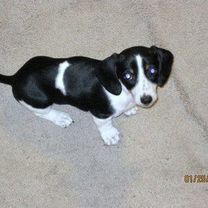 Meet your Posher, Bonnie m.