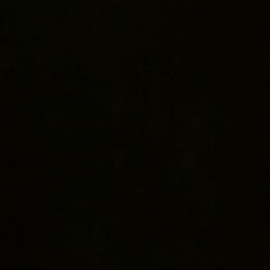 Meet your Posher, Lois