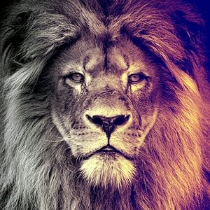 Meet your Posher, Shonelle