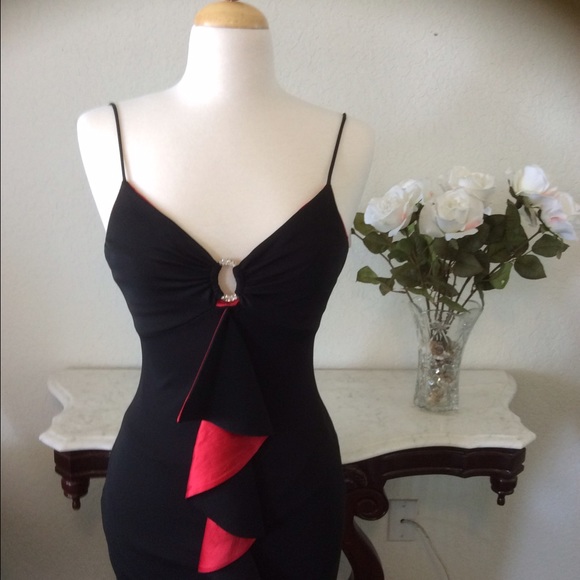 Gorgeous Bari Jay evening gown