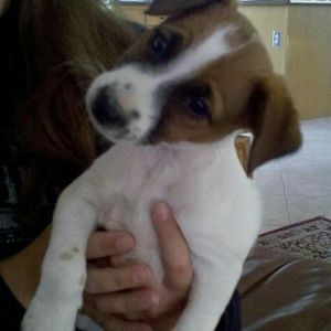 Meet your Posher, Jennie