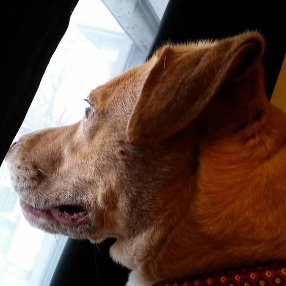 Meet your Posher, Sally - Picture 1 of 1