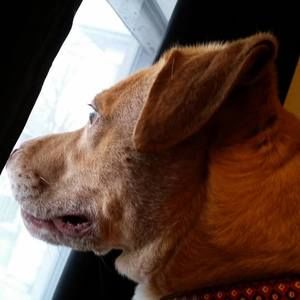 Meet your Posher, Sally