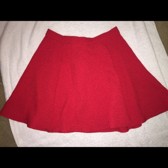 H&M Skater Skirt