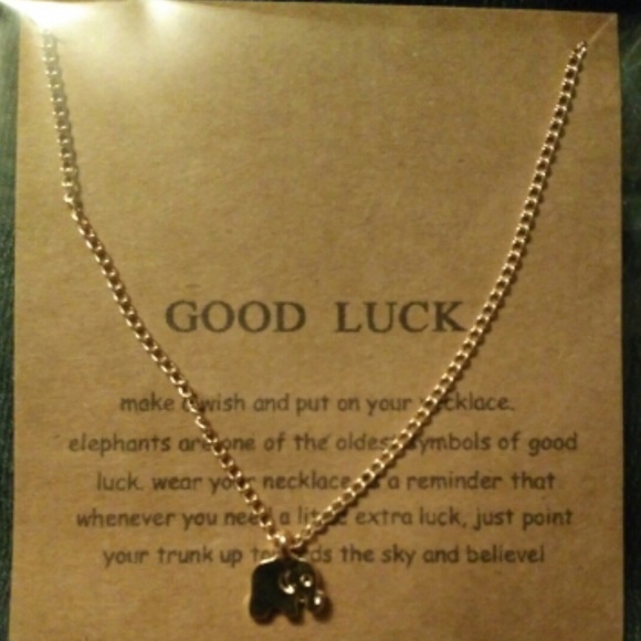 Good luck Necklace(NWT)🚫FIRM🚫 - Picture 4 of 4