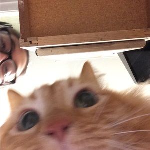 Meet your Posher, Madie