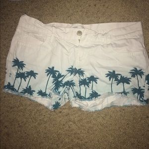 Palm trees shorts