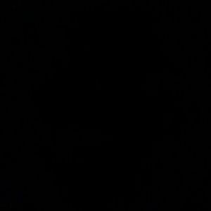 Meet your Posher, Rosa