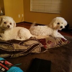 Meet your Posher, Dee