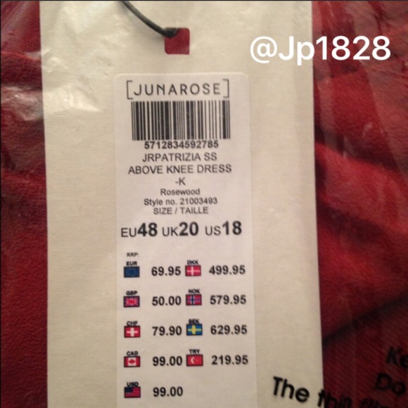 NWT Junarose Dress - Picture 4 of 4