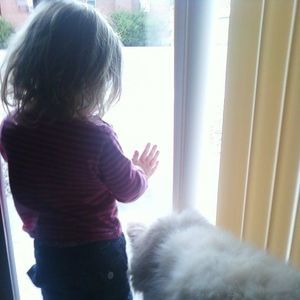 Meet your Posher, Curtis