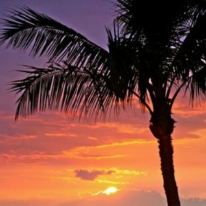 Meet your Posher, Chloe