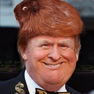 Meet your Posher, Sheila