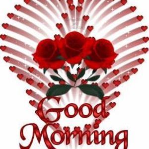 Meet your Posher, Bonnie