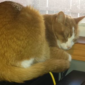 Meet your Posher, Daniella