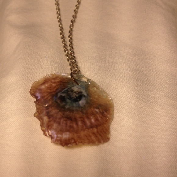 Real sea shell necklace