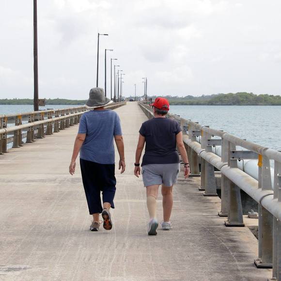 Meet your Posher, Ruth - Picture 1 of 1