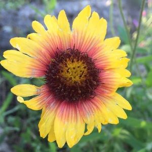 Meet your Posher, Jillian