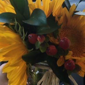 Meet your Posher, Crystal