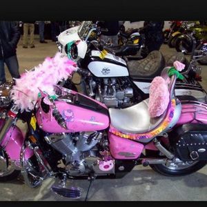 Meet your Posher, Kittys harleys