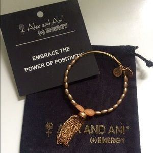 Alex & Ani Artist's Pallete Bangle