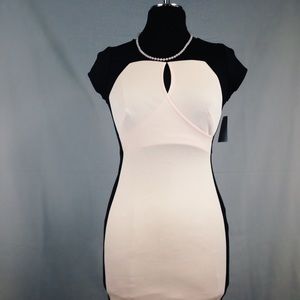 🎃🎃🎃Black/Pink Mesh-Back Stretch Dress NWOT