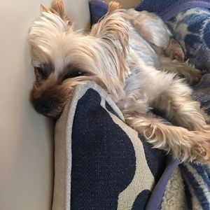 Meet your Posher, Becky