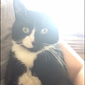 Meet your Posher, Jillian