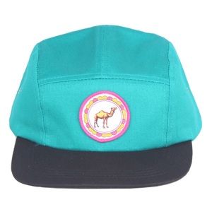 Turquoise dojo 5 panel
