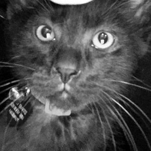 Meet your Posher, Emma