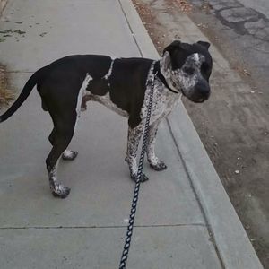 Meet your Posher, Roxanne