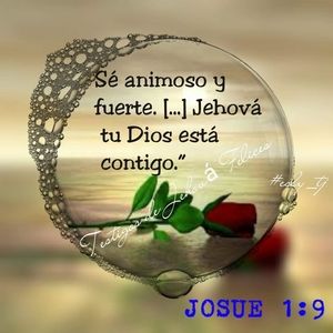 Meet your Posher, Elvia