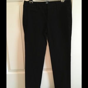 Loft Cropped Riding Style Pant, New!