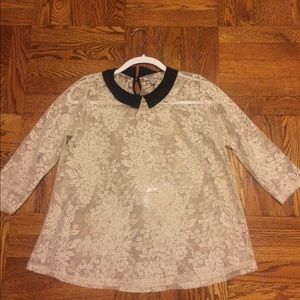 Zara sheer lace collared top