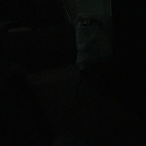 Meet your Posher, Ebony