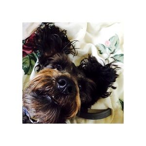 Meet your Posher, Anna