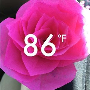 Meet your Posher, Meghan