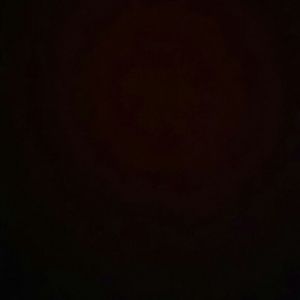 Meet your Posher, Perla