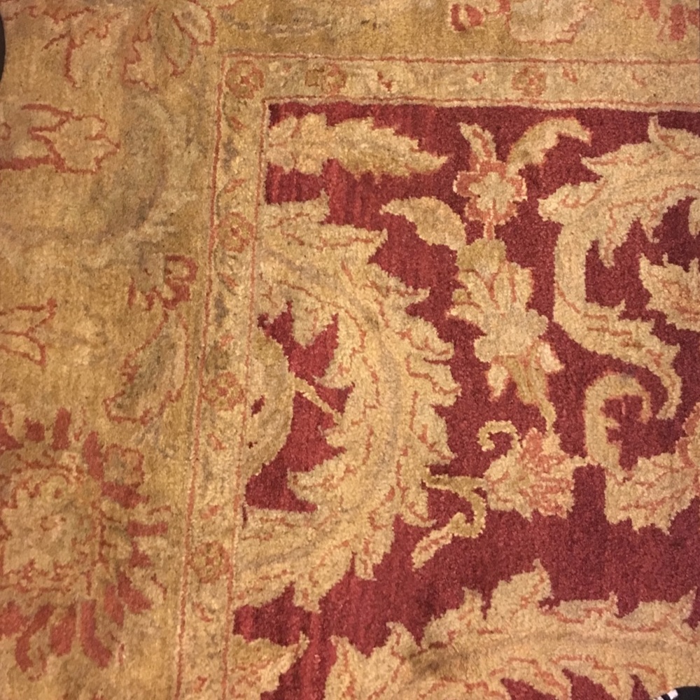 Meet your Posher, Sandy