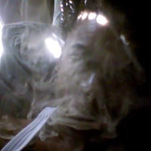 Meet your Posher, Tamu